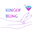 King of Bling logo